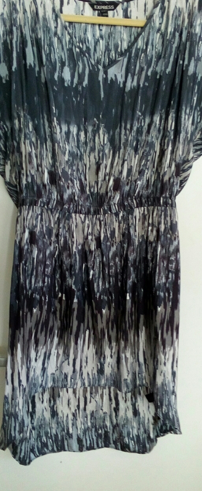 Express silky dress
